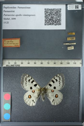 Media type: image;   Entomology 175421